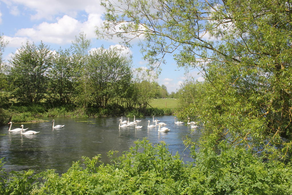 The Swan At Stoford Hotell Stapleford  Eksteriør bilde